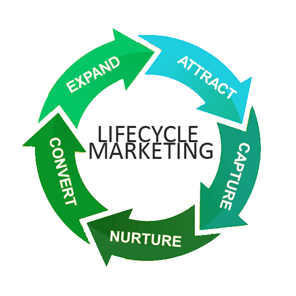 Stages of Lifecycle Marketing